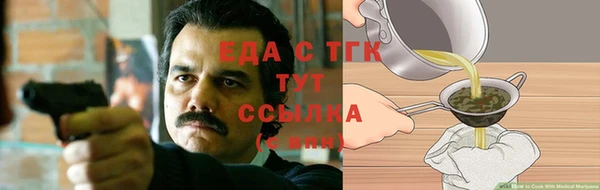 стафф Бородино